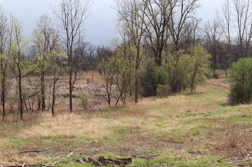 Chief Pontiac Speedway (Lake Angelus Speedway) - The Lot In April 2021 (newer photo)